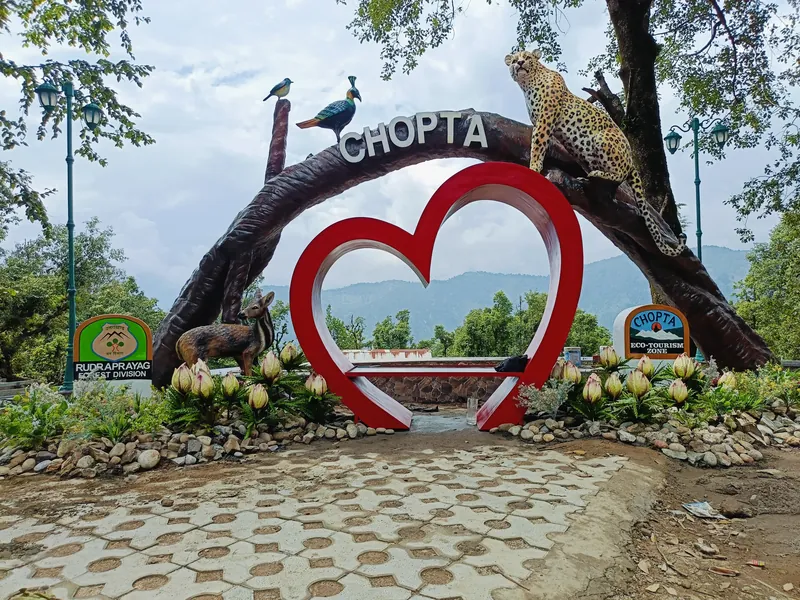Chopta Selfie Point - Forest Vision Alliance Project