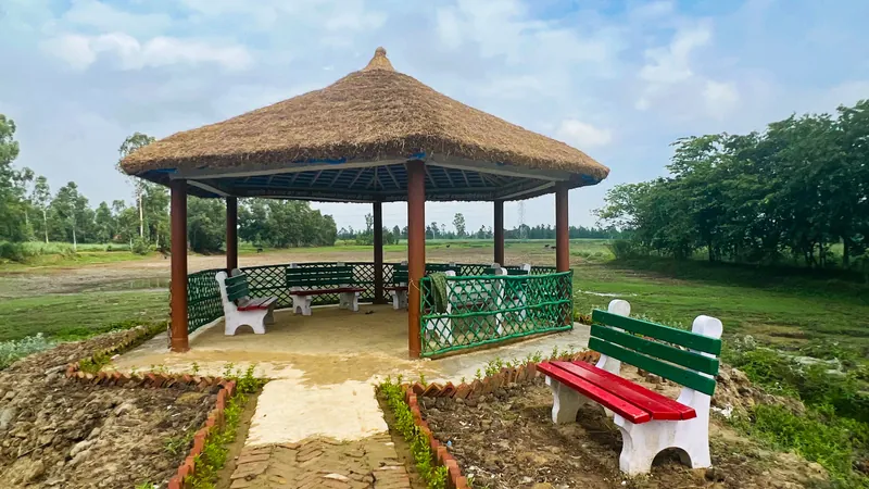 Ghera Richhola Wetland Project - Forest Vision Alliance Project