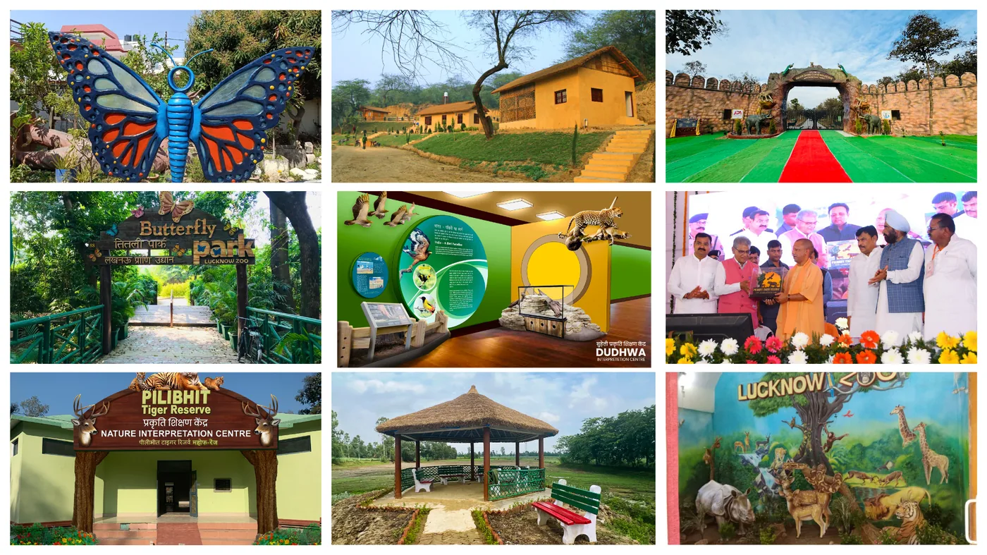 Forest Vision Alliance Portfolio Showcase - Butterfly sculptures, eco-tourism huts, interpretation centers, and wildlife installations